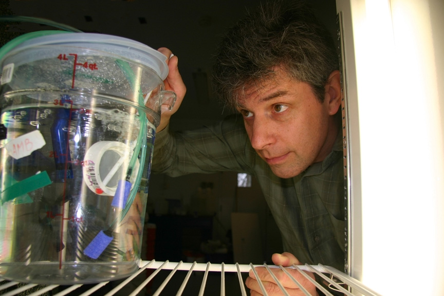 Whitman Miller of the Smithsonian Environmental Research Center checks an experimental aquarium used to rear juvenile oysters. (Smithsonian Environmental Research Center)