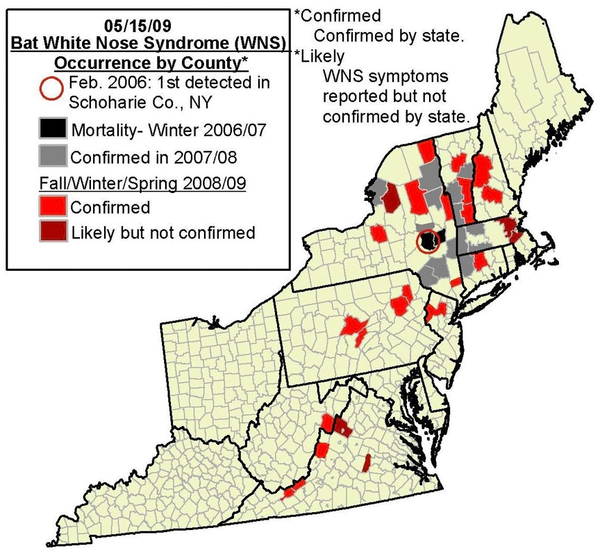 White nose syndrome occurrence by county. (Cal Butchkoski, Pennsylvania Game Commission)